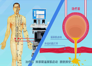 &#20048;&#21160;&#32593;&#39029;&#29256;&#30331;&#24405;&#20837;&#21475;&#45;&#20048;&#21160;&#40;&#20013;&#22269;&#41;